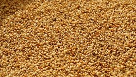 Tahini Production Line About Us